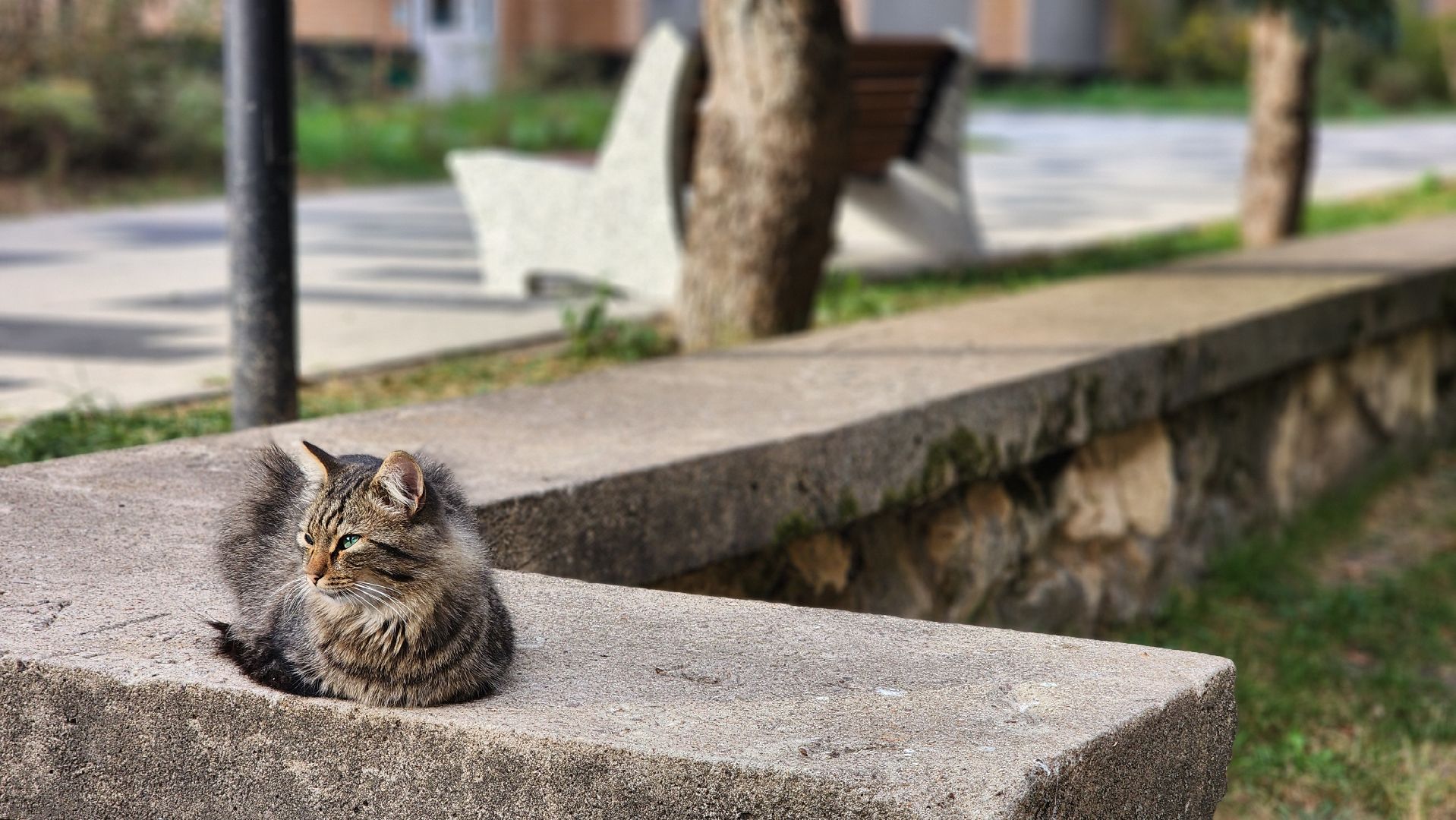 пешеходная улица на ленина, протвино, благоустройство, установка МАФов, комфорт,