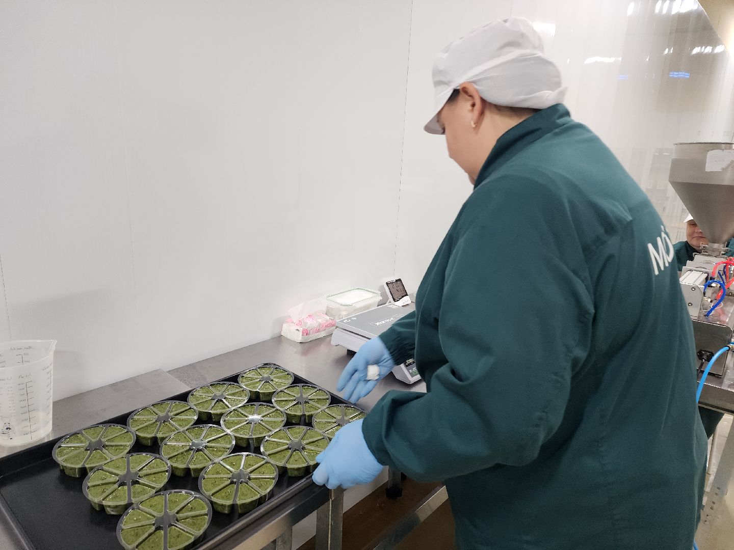 красноармейск, городской округ пушкинский, инвестиции, производство смузи,