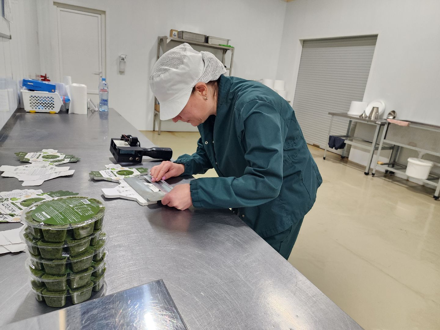 красноармейск, городской округ пушкинский, инвестиции, производство смузи,