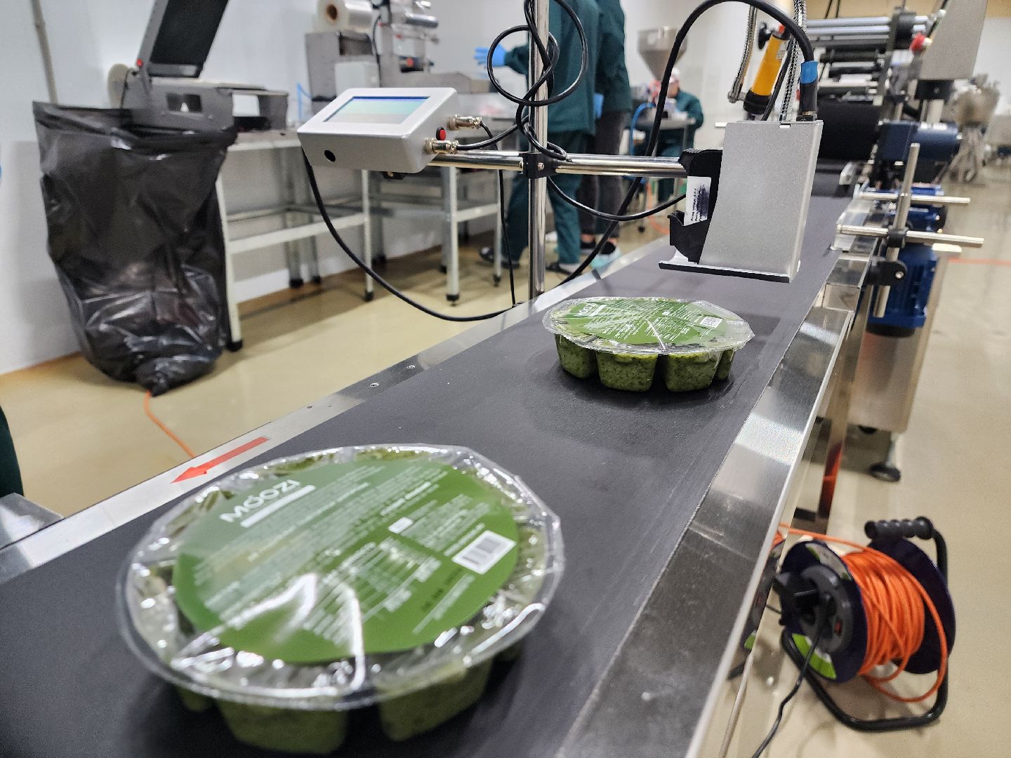 красноармейск, городской округ пушкинский, инвестиции, производство смузи,