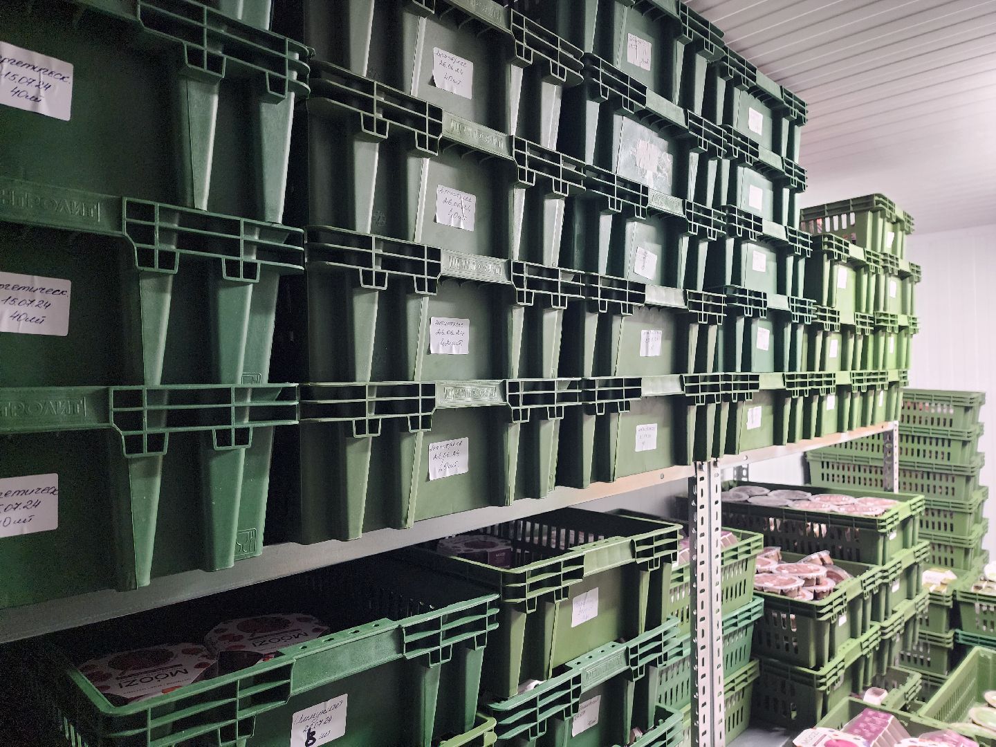 красноармейск, городской округ пушкинский, инвестиции, производство смузи,