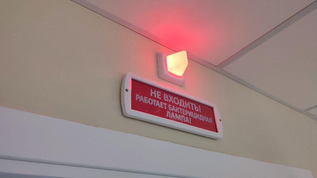 Кашира, общество