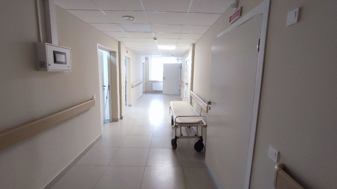 Кашира, общество