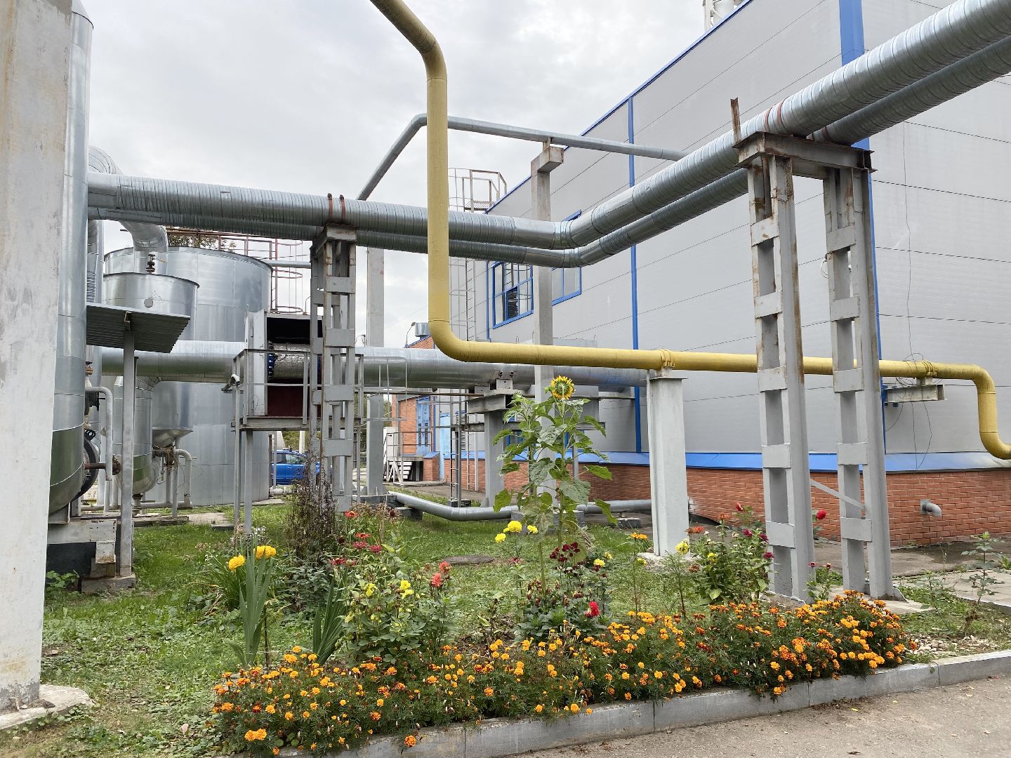 Отопление, Котельная, Котельная КШФ, Домодедово, пуск тепла, Подмосковье, Социальные объекты,