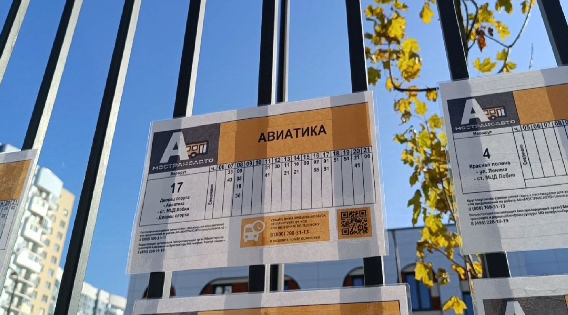 авиатика, лобня, автобус,