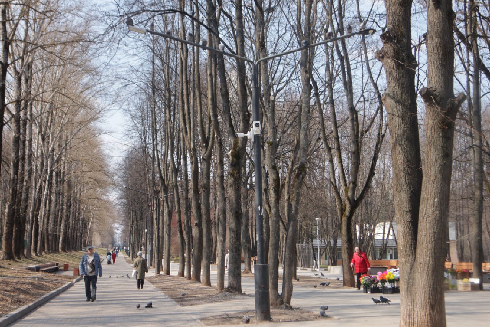 Пущино, Светлый город, освещение, благоустройство