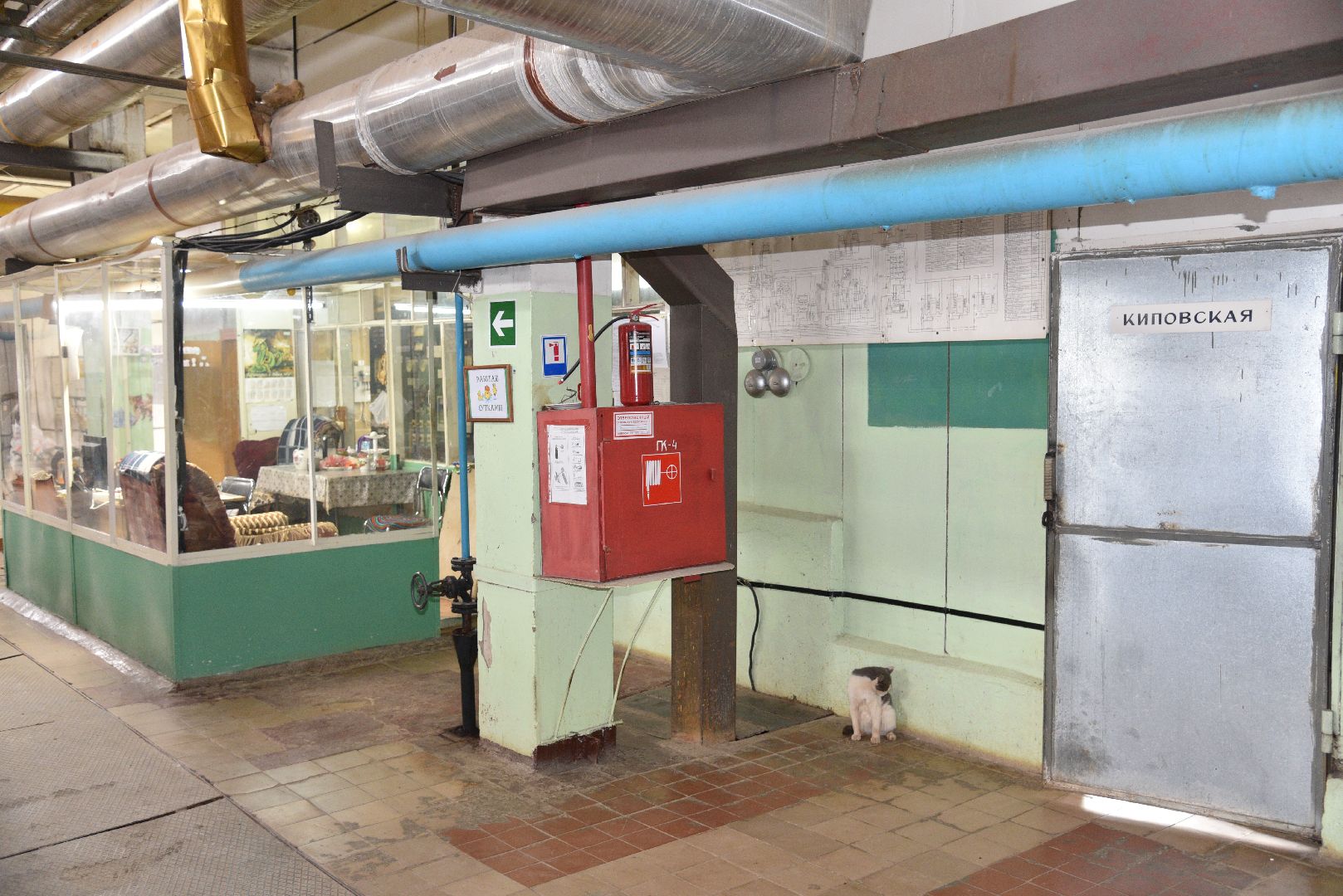 лотошино, жкх, отопление, отопительный сезон, отопительный сезон 2024-2025, котельная,