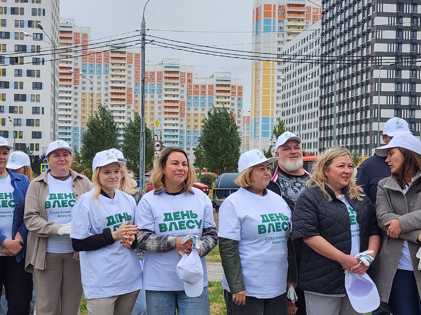 высадка деревьев,