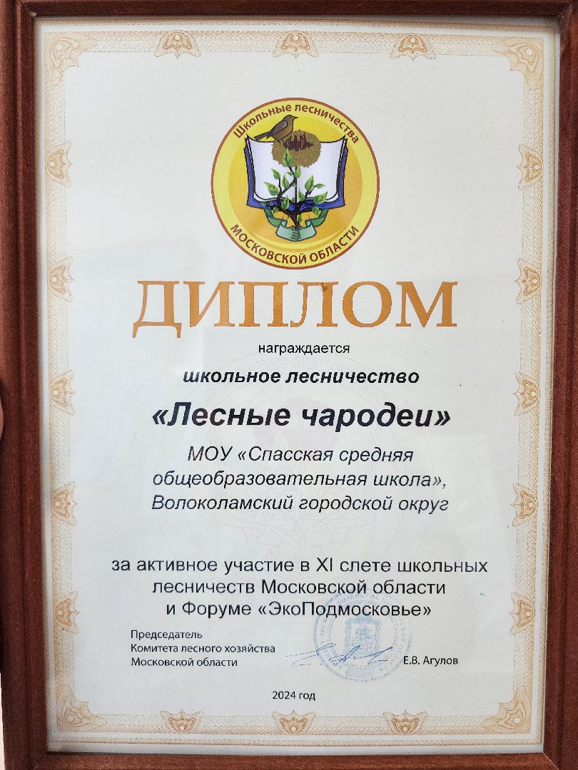 волоколамск, школьное лесничество, Слт школьных лесничеств, экология,