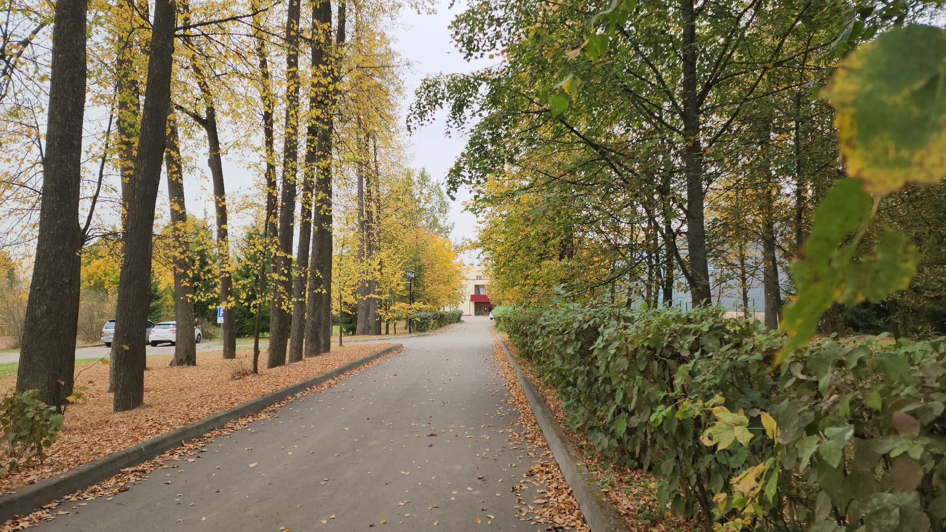 Подольск, Ясенки, Алтай, адаптивный туризм, реабилитация участников сво,