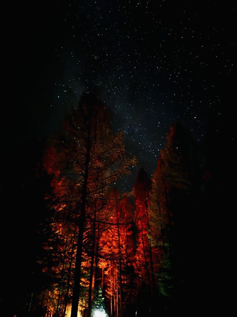 Подольск, Ясенки, Алтай, адаптивный туризм, реабилитация участников сво,