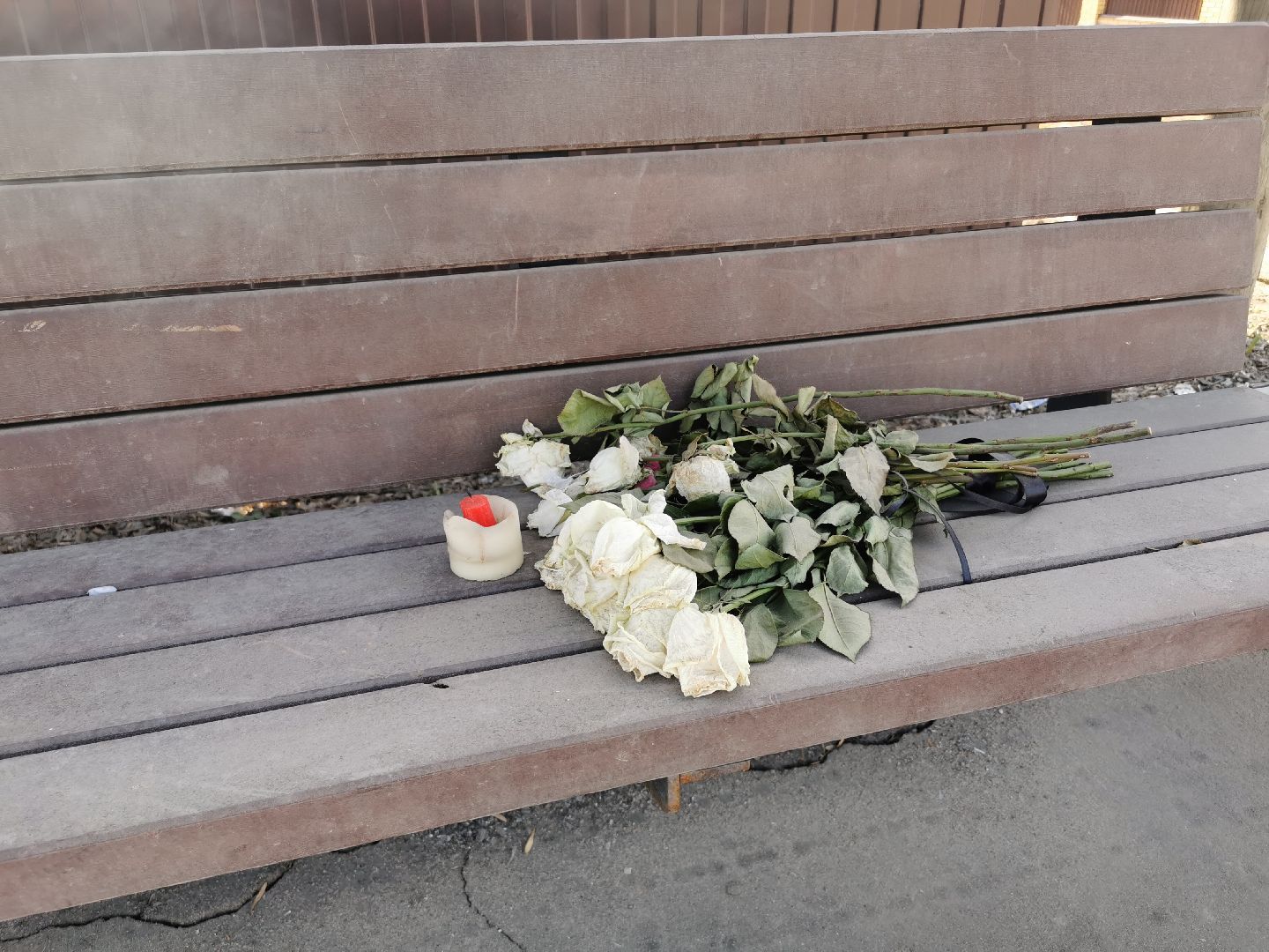 дороги, транспорт, безопасность