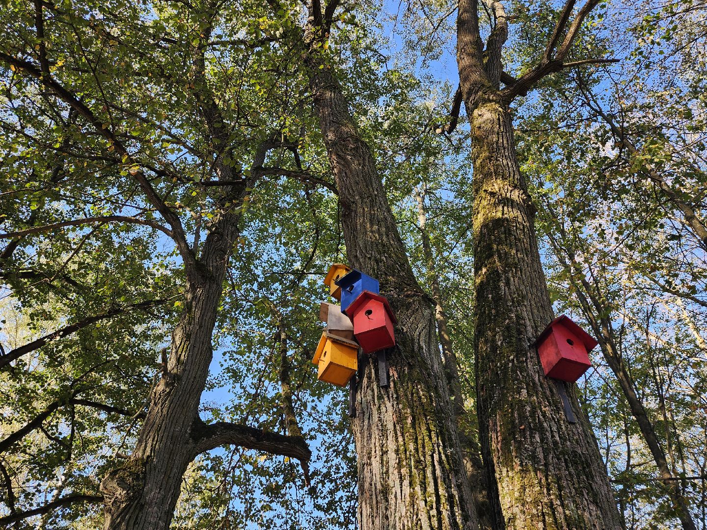 серпухов, благоустройство сквера, поселок пролетарский, дк лира, добродел,