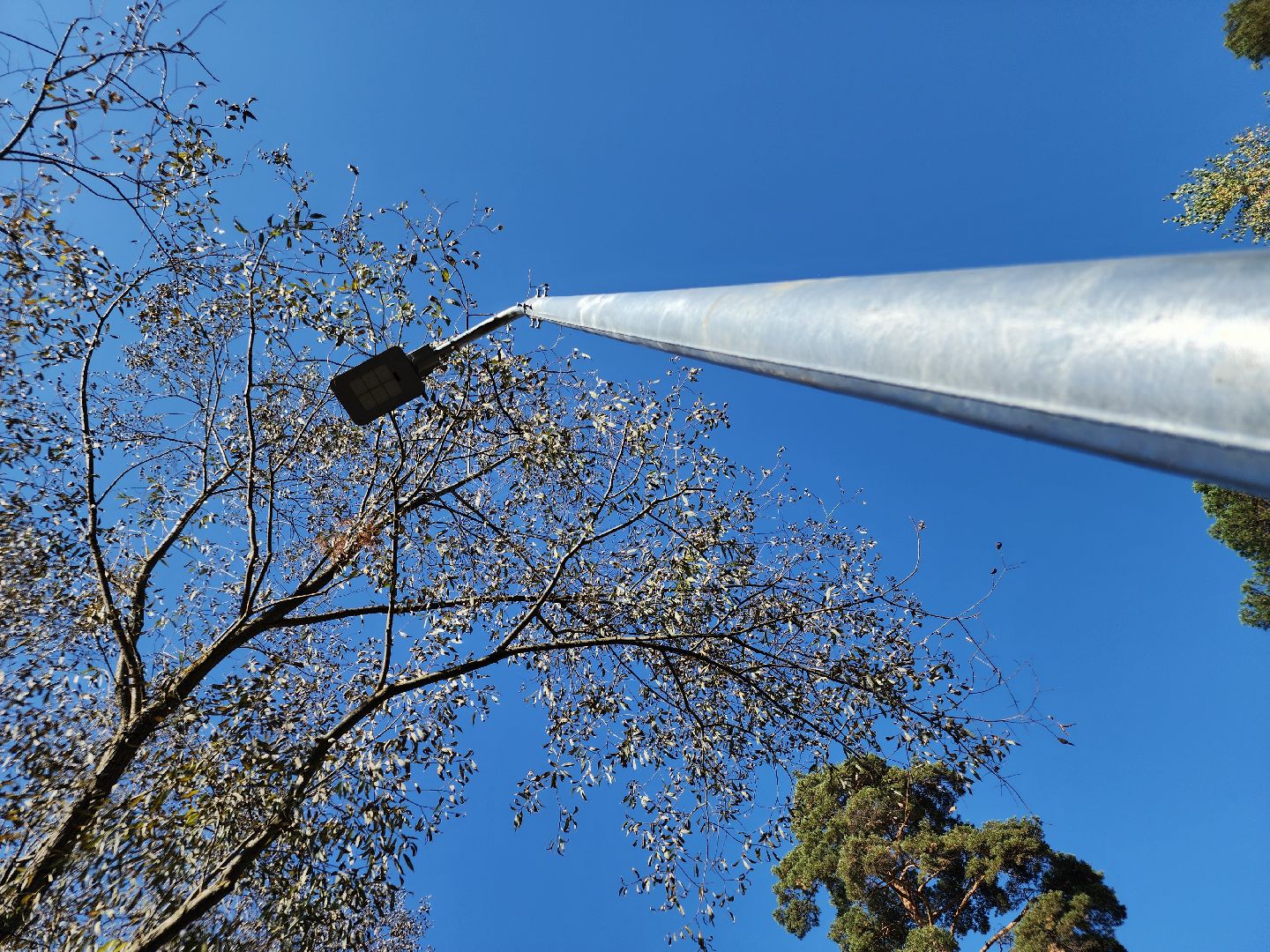 светлый город, орехово-зуевский округ,