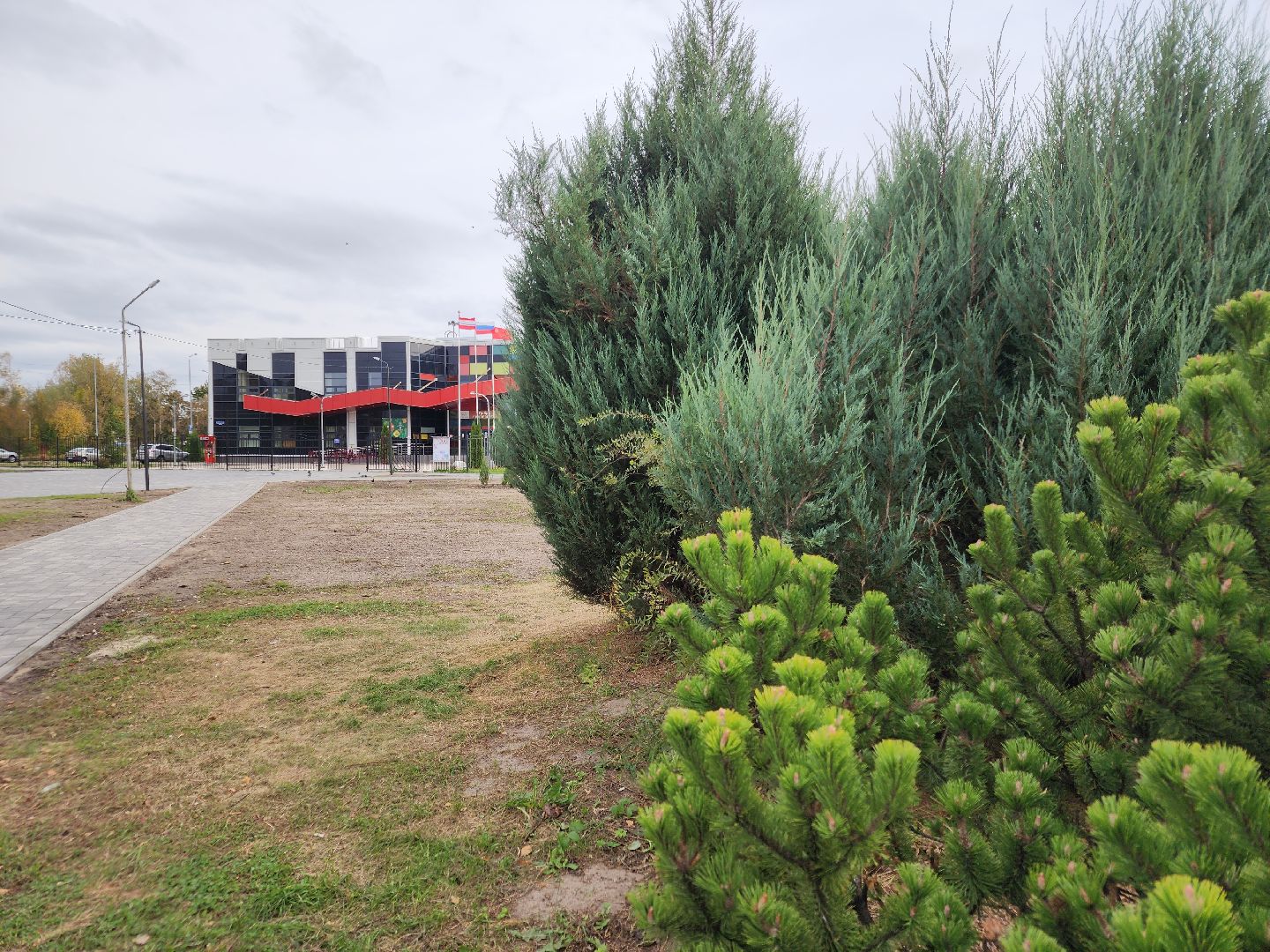 благоустройство 2024, дрезна, орехово-зуевский округ,