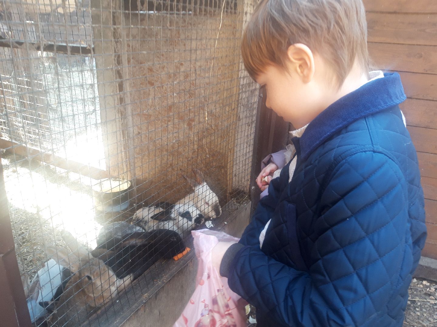 дети, праздники,