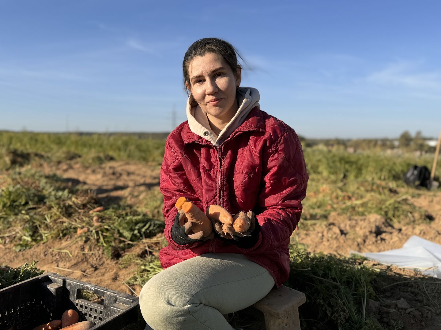 ВНИИССОК, Федеральный центр овощеводства, Селекционеры Одинцова,