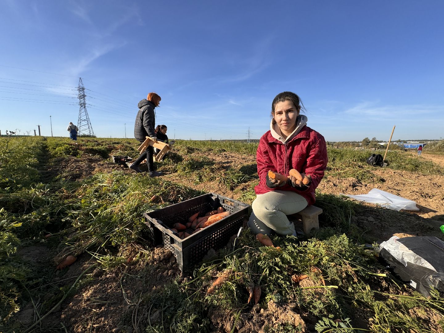 ВНИИССОК, Федеральный центр овощеводства, Селекционеры Одинцова,