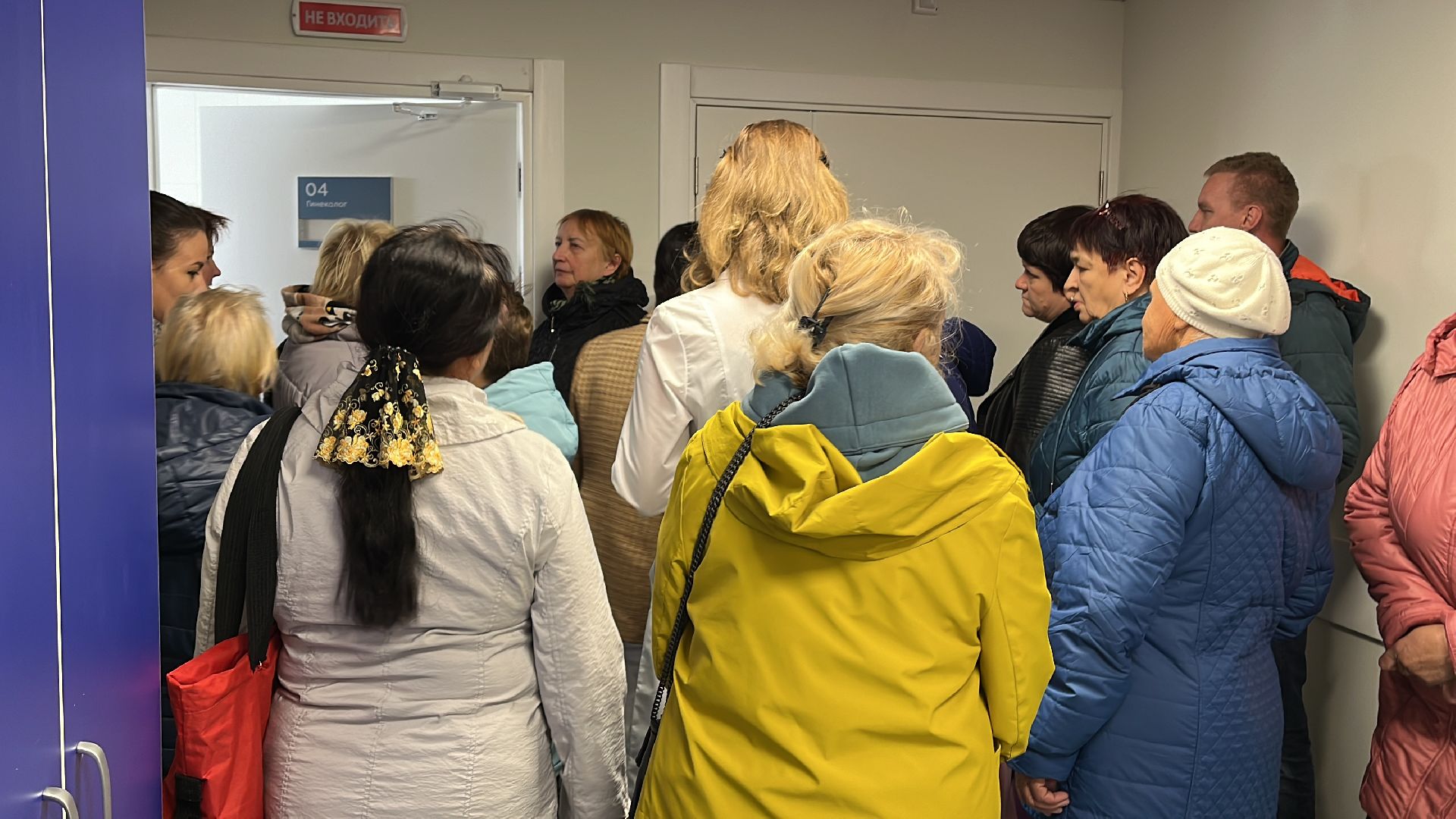 волоколамск, фап, модернизация первичного звена здравоохранения, нацпроект здравоохранение