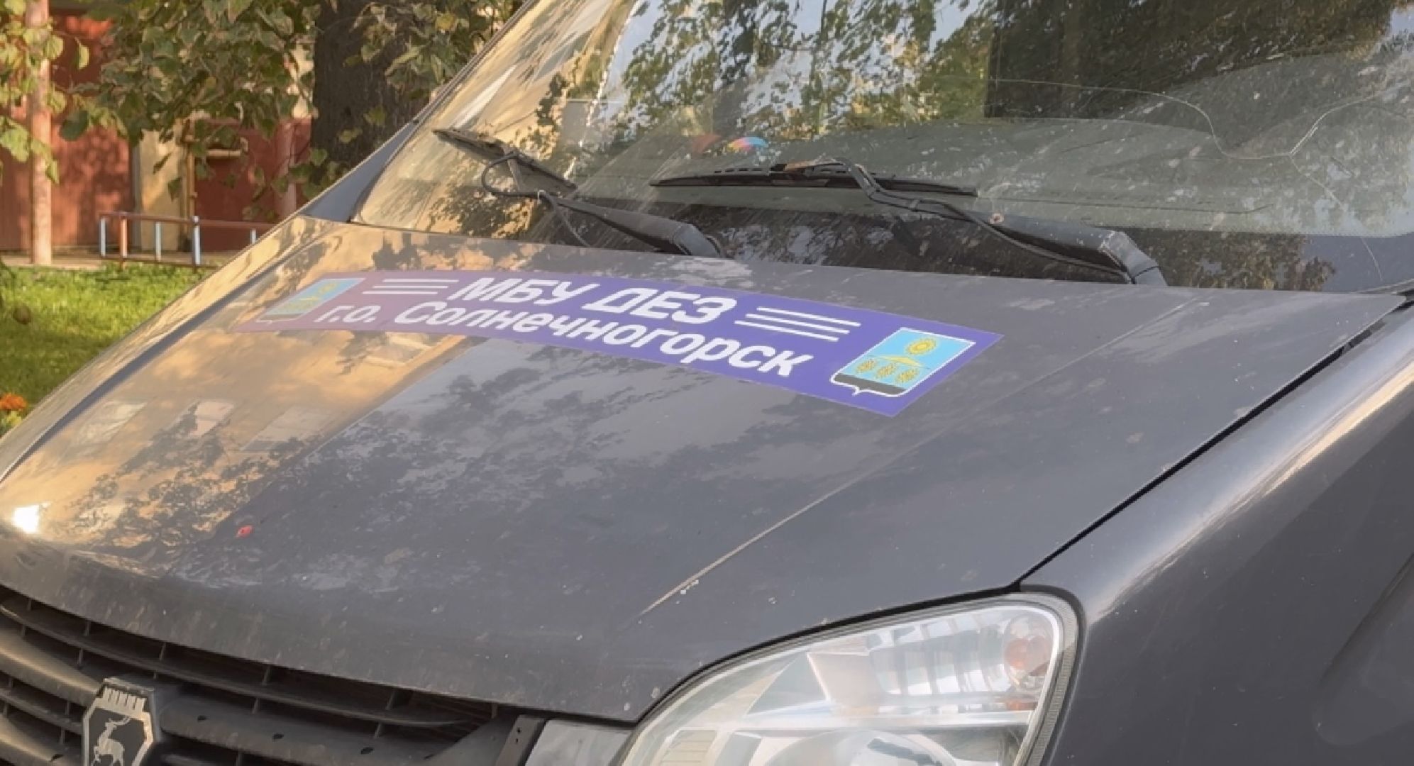 Солнечногорск, Порядок, Детская площадка, Игровая площадка, Жители,