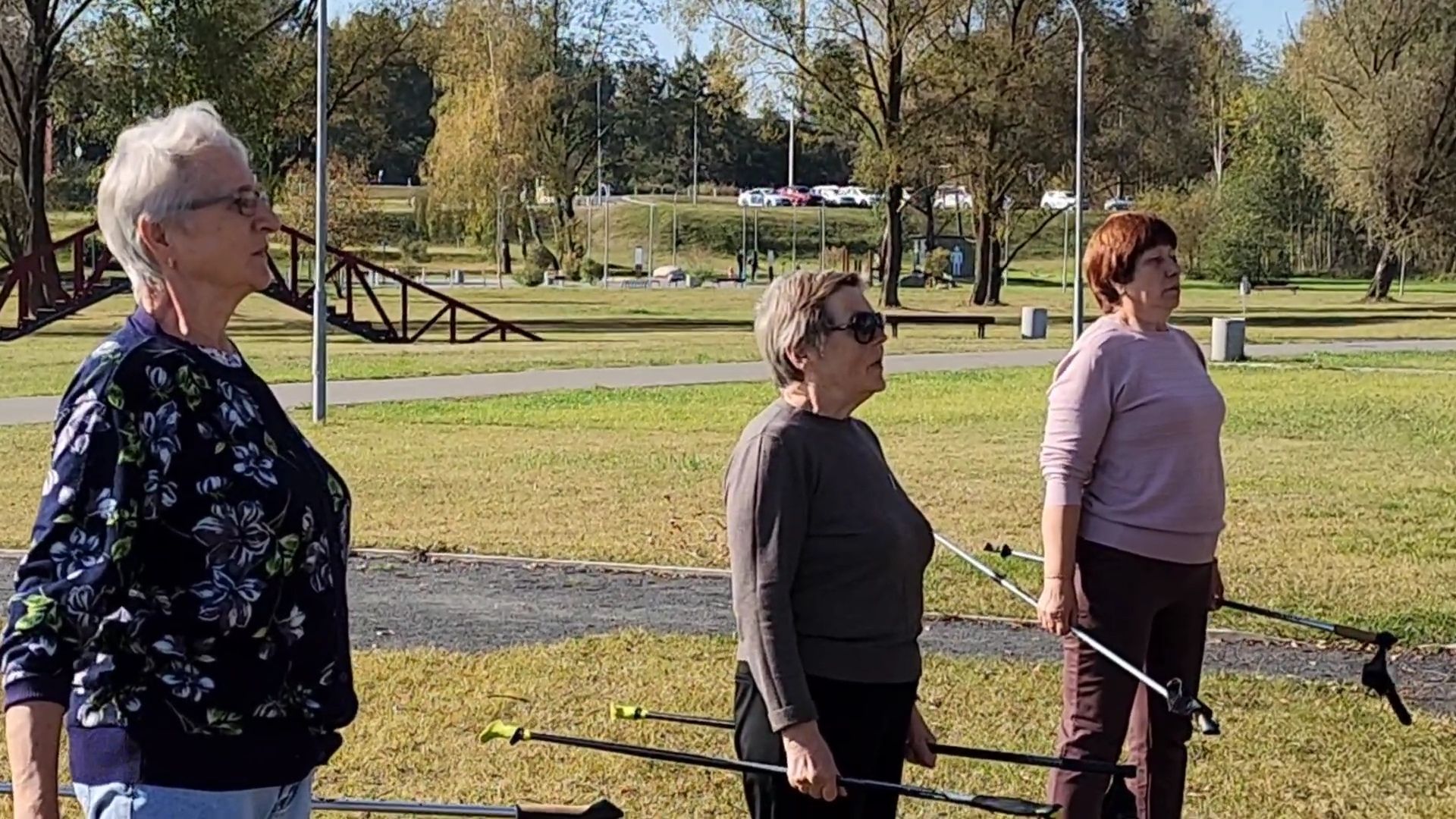 Бронницы, Парк Бронницкий Луг, Спорт в парке, Активное долголетие, Дыхательная гимнастика,