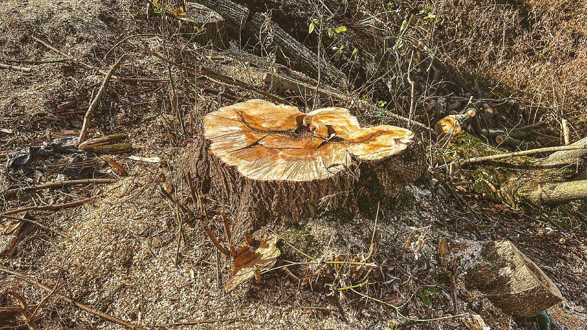 Клин, общество, благоустройство, строительство, Подмосковье,
