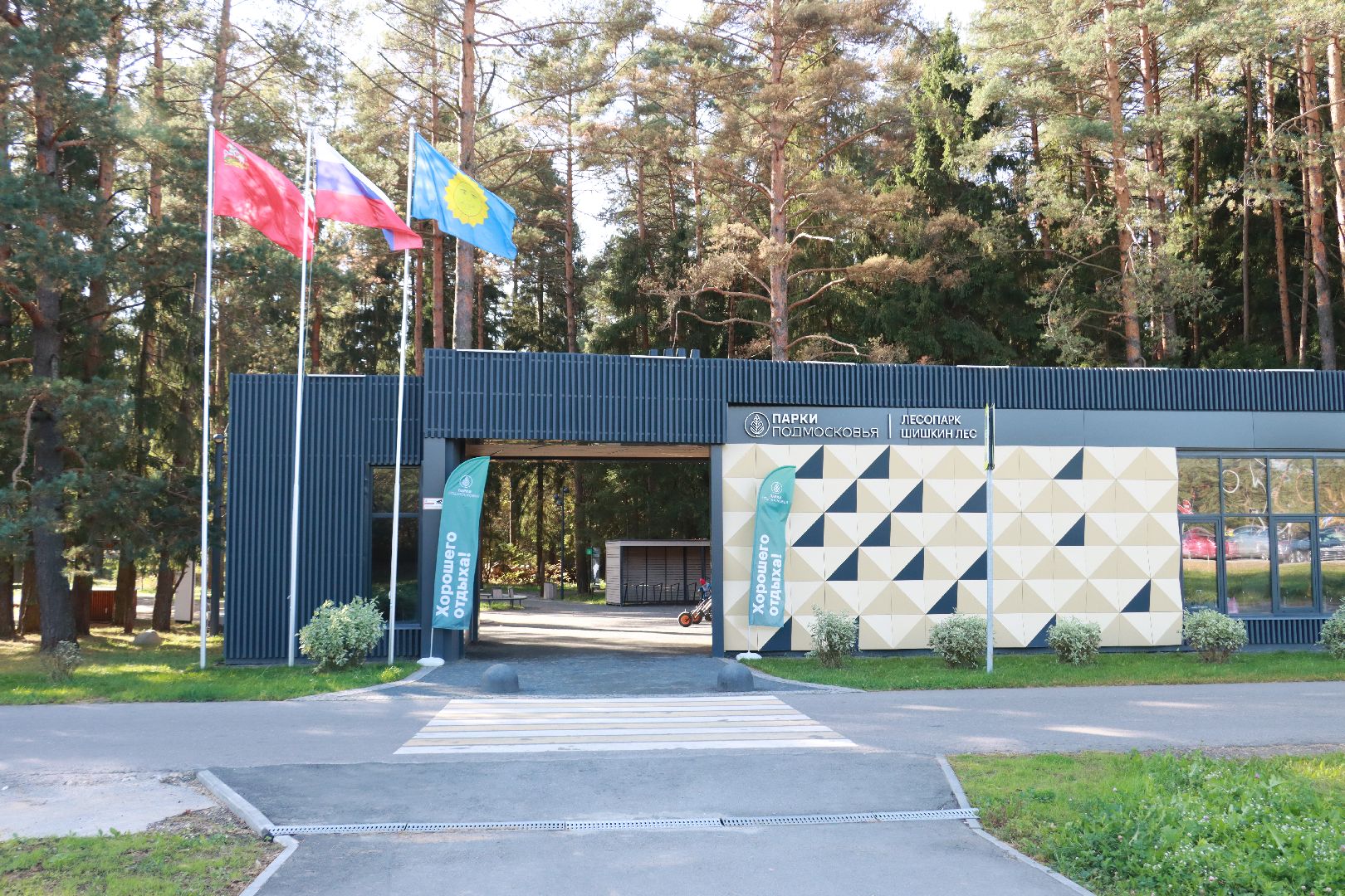 парки, отдых в лесах, лесопарк,