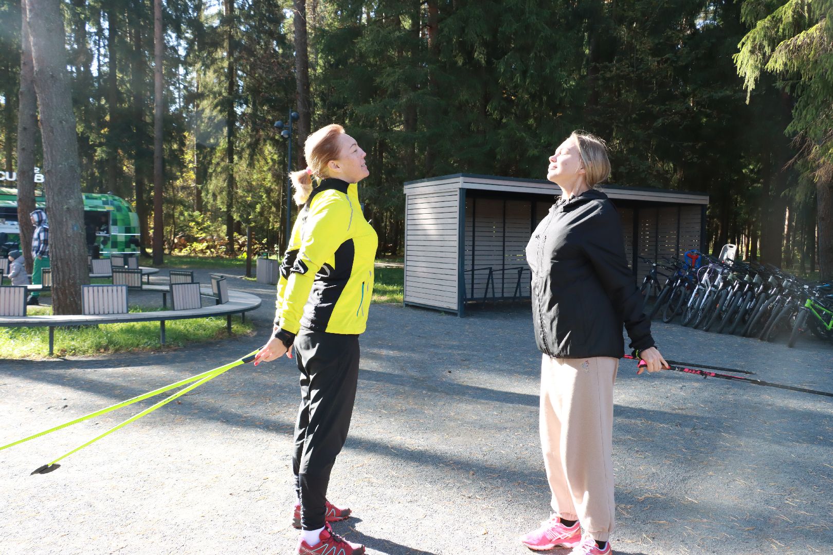 парки, отдых в лесах, лесопарк,