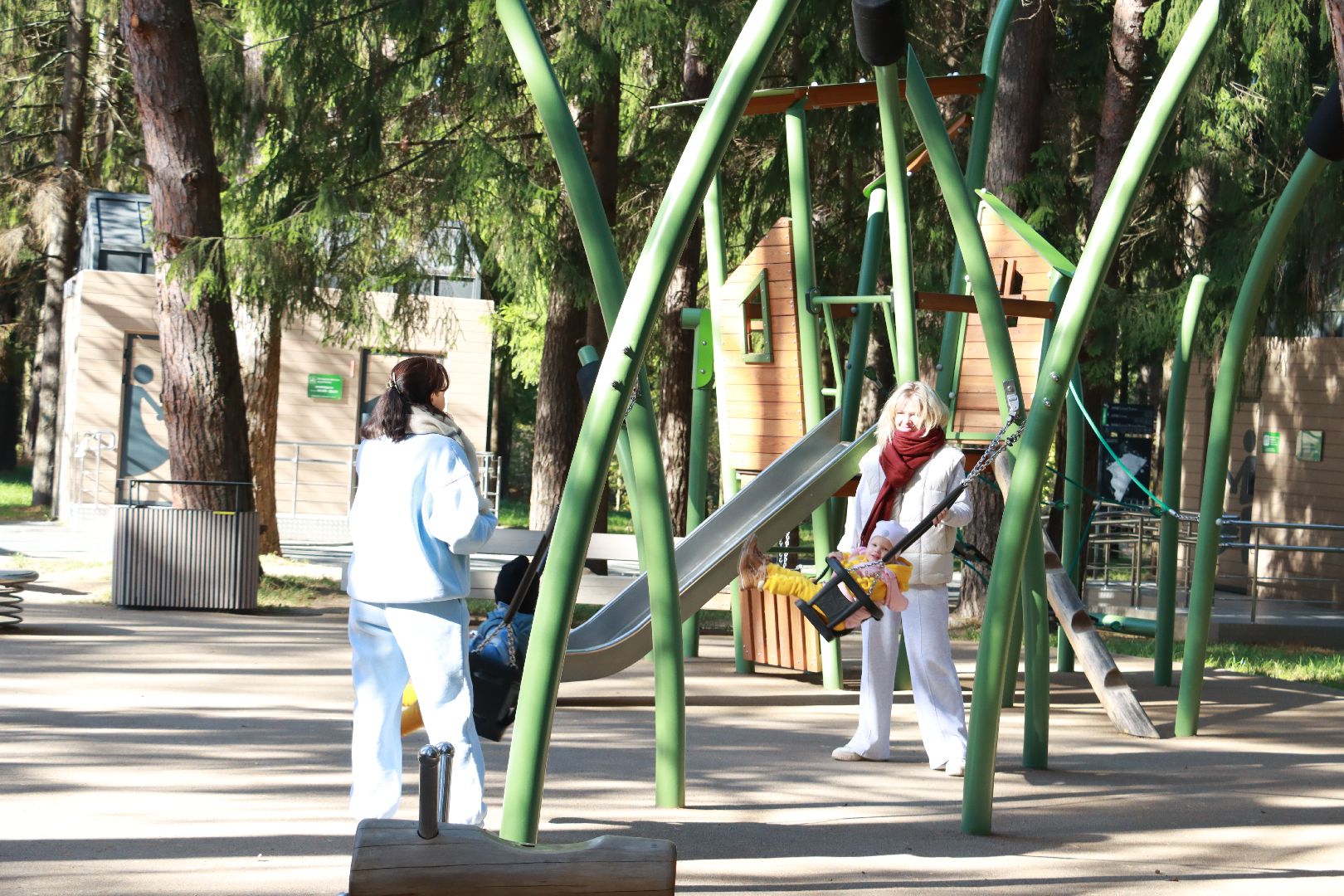 парки, отдых в лесах, лесопарк,