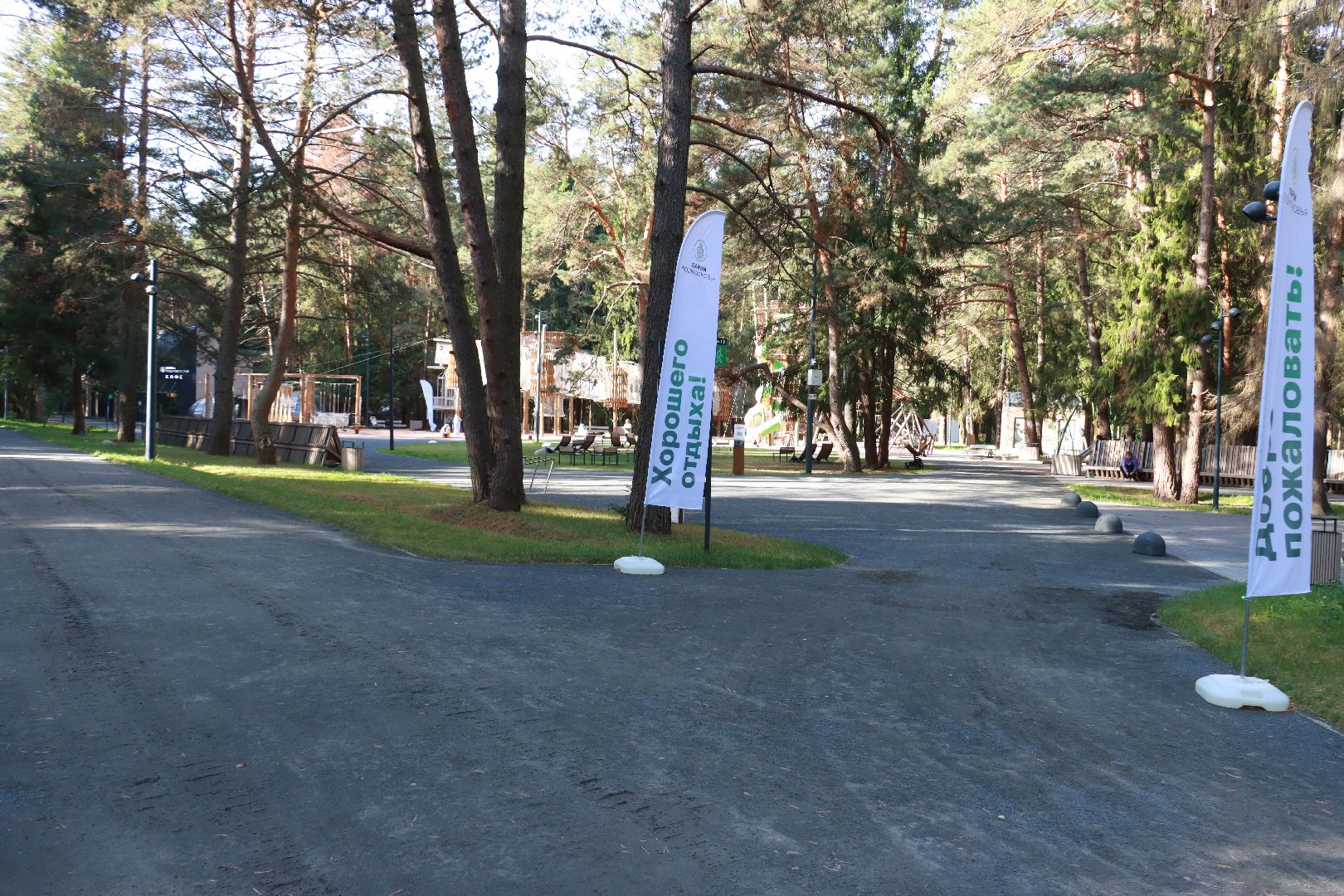 парки, отдых в лесах, лесопарк,