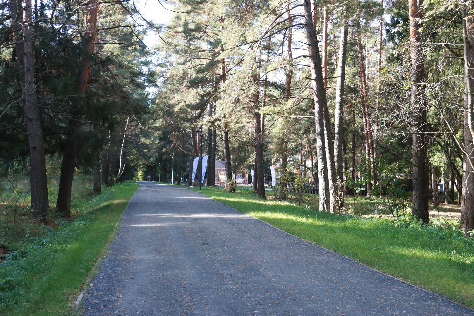 парки, отдых в лесах, лесопарк,