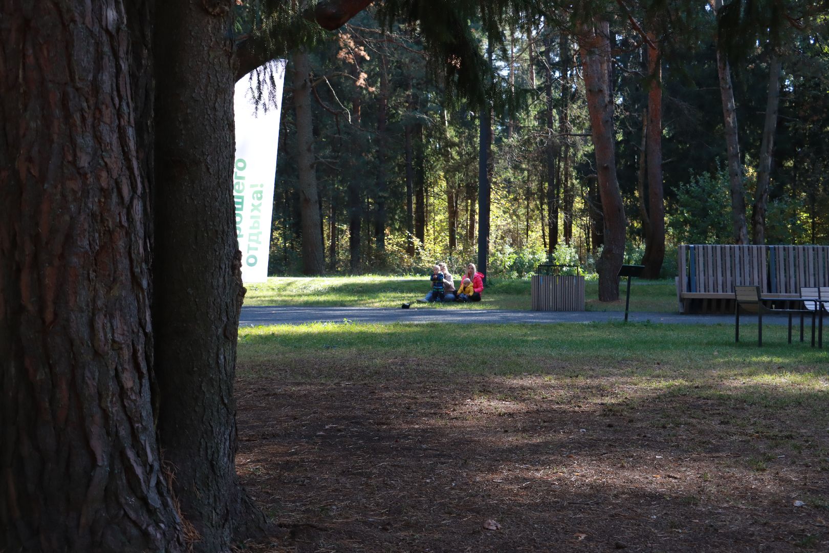 парки, отдых в лесах, лесопарк,