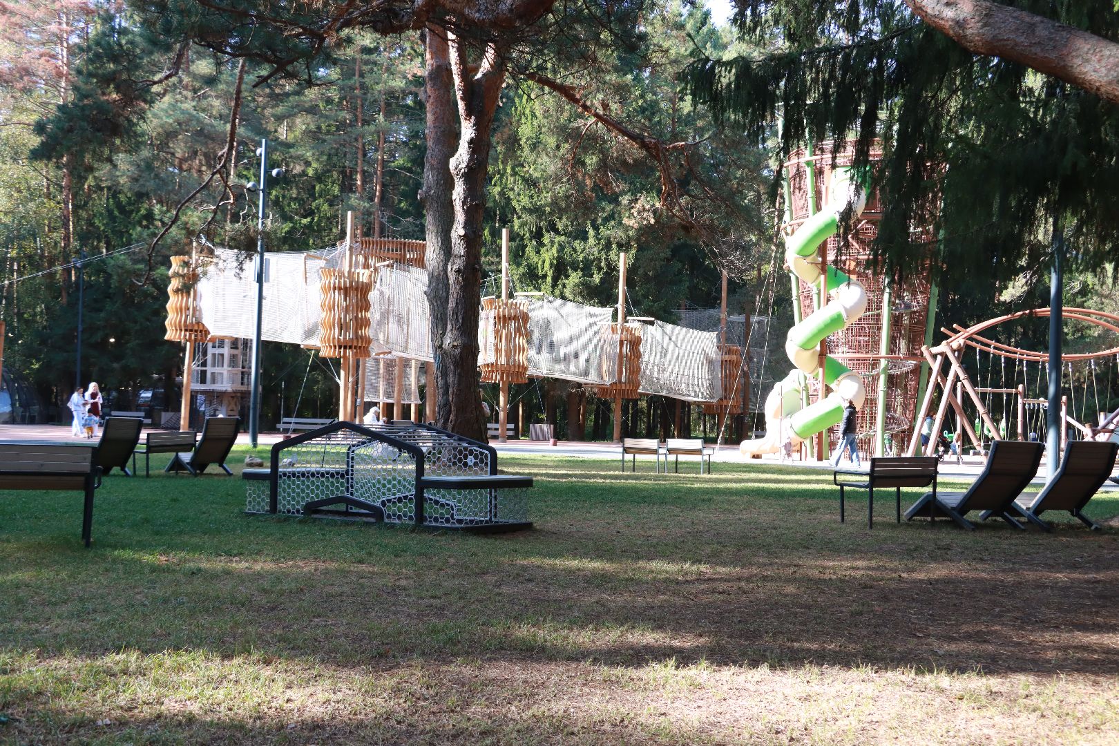 парки, отдых в лесах, лесопарк,