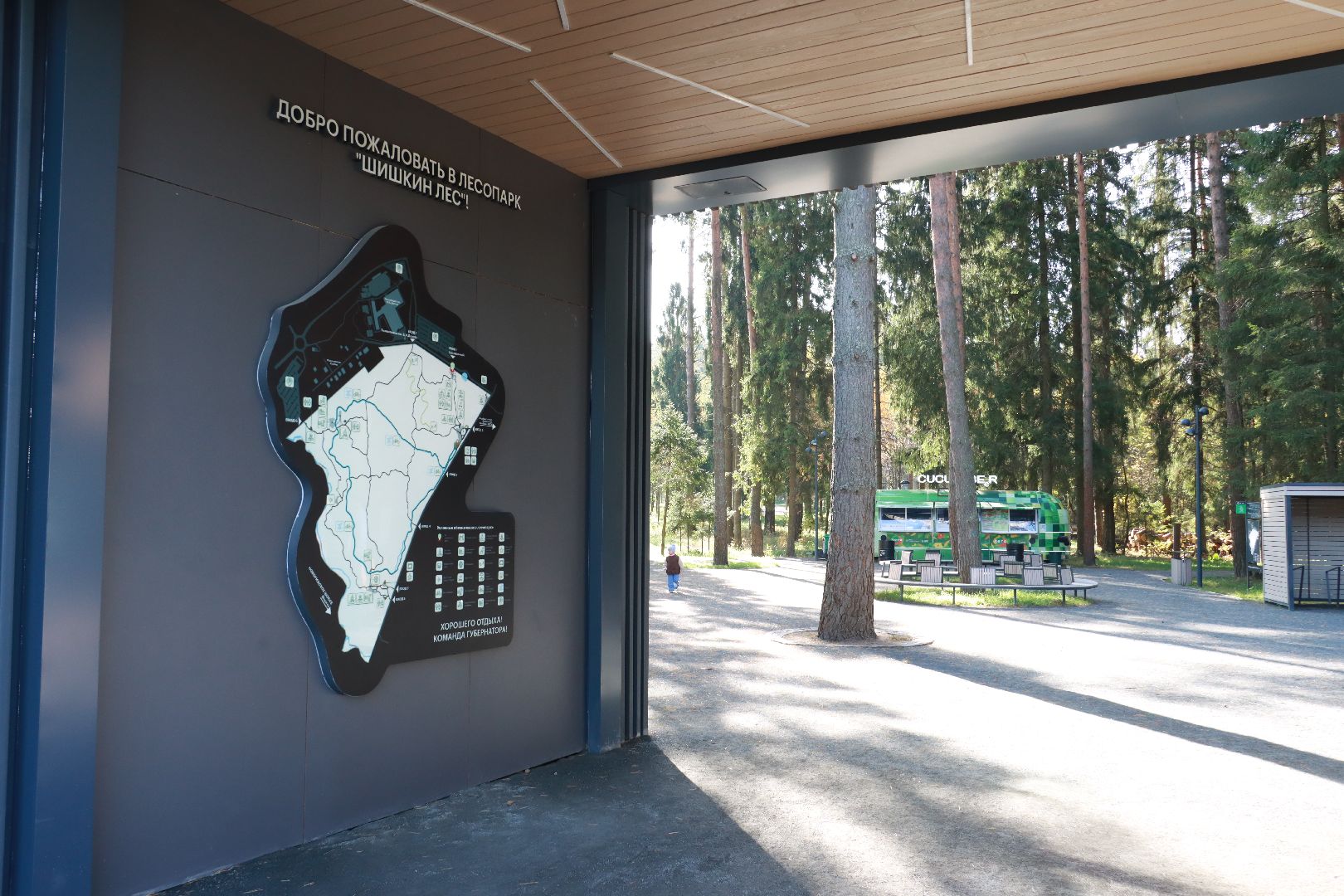 парки, отдых в лесах, лесопарк,