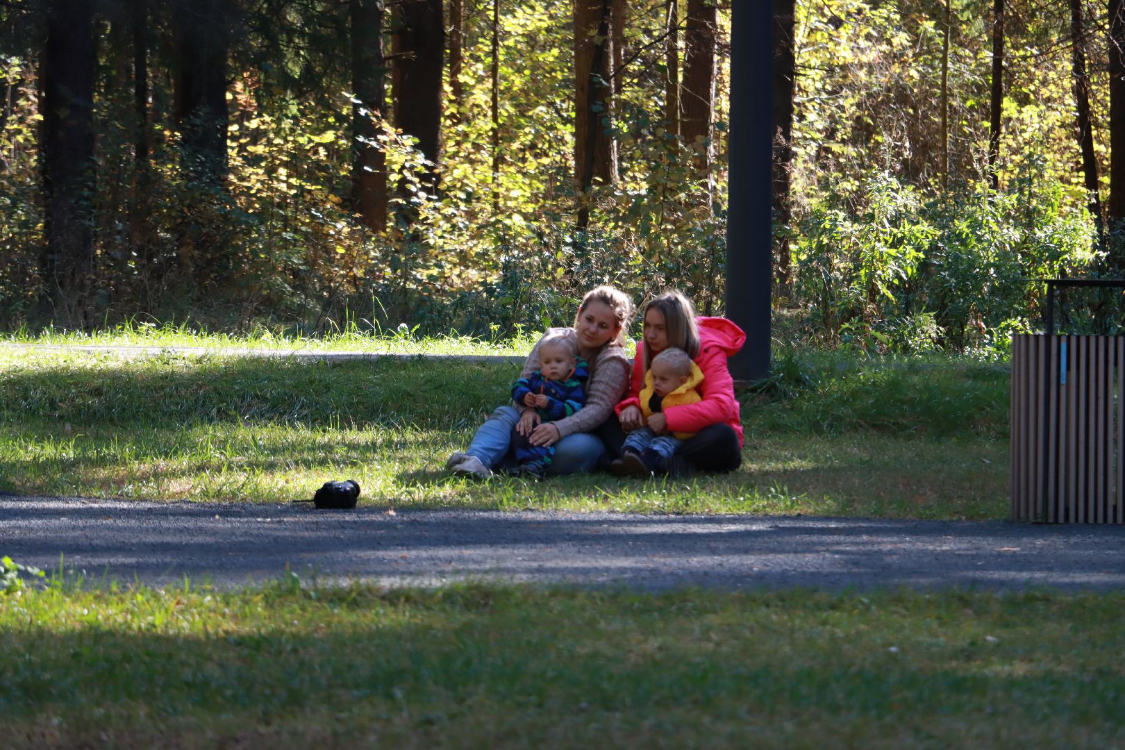 парки, отдых в лесах, лесопарк,