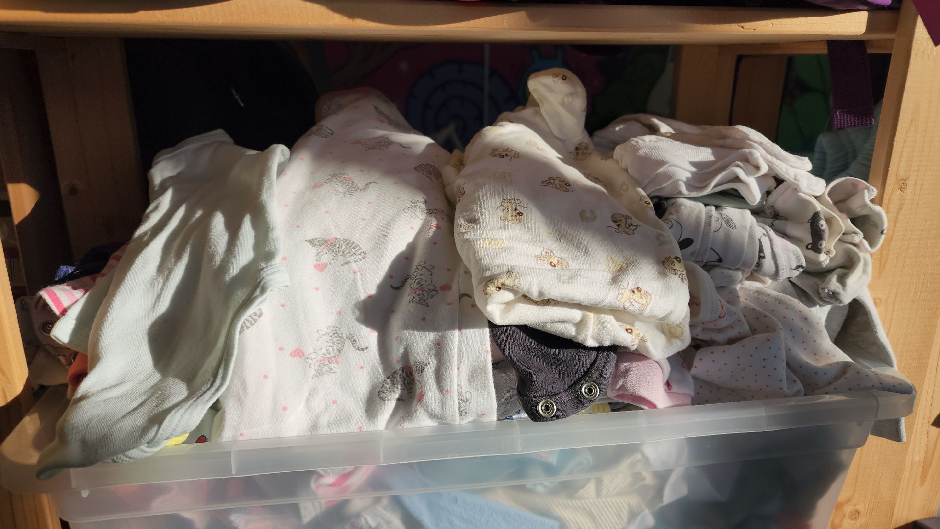 экологошия, покров, егорьевск, сбор мусора, переработка, одежда, благотворители, благотворительность,