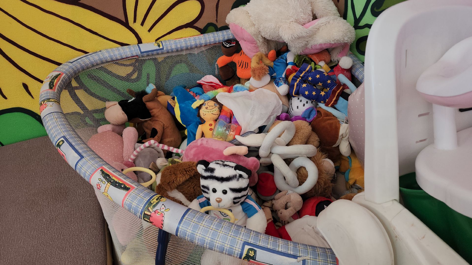 экологошия, покров, егорьевск, сбор мусора, переработка, одежда, благотворители, благотворительность,