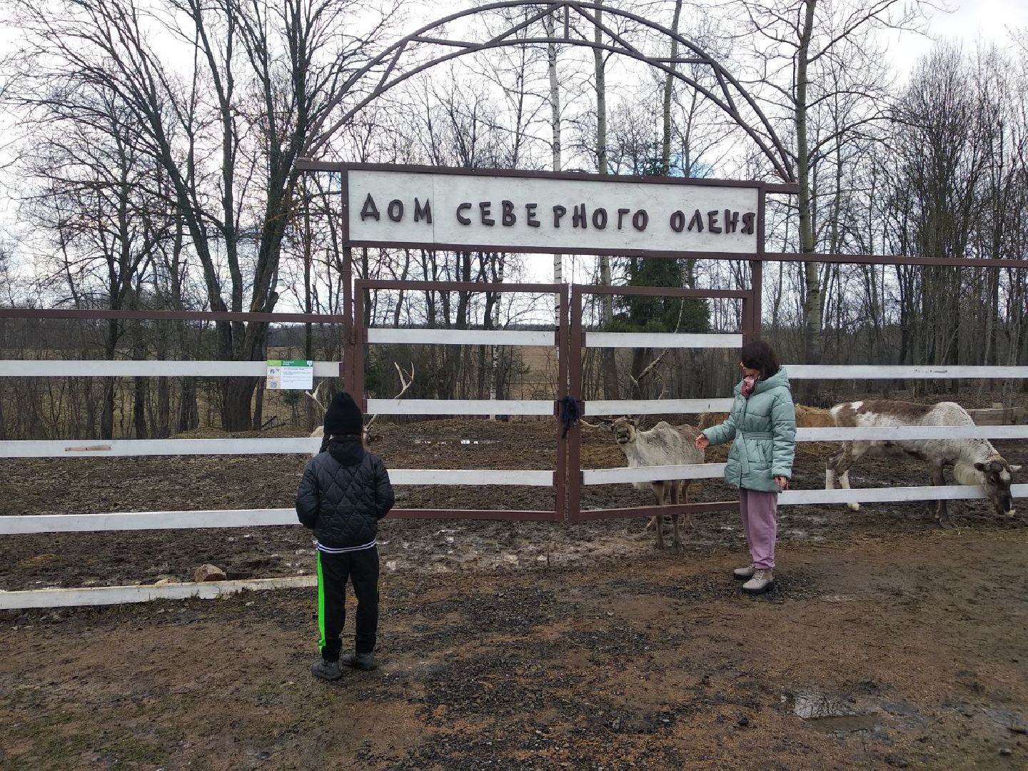 Дмитров, зооферма Шихово, экотуризм