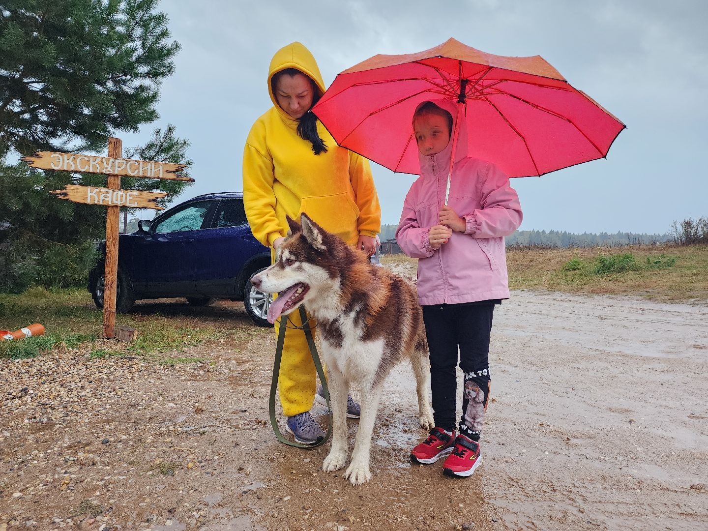 хаски, хаски-деревня, рузская аляска, руза бти, рузский городской округ, московская область, благотворительность, волонтерство,