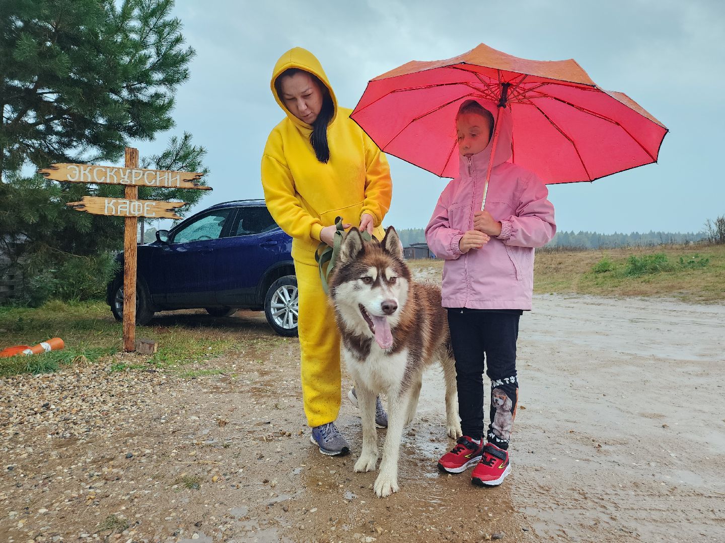 хаски, хаски-деревня, рузская аляска, руза бти, рузский городской округ, московская область, благотворительность, волонтерство,