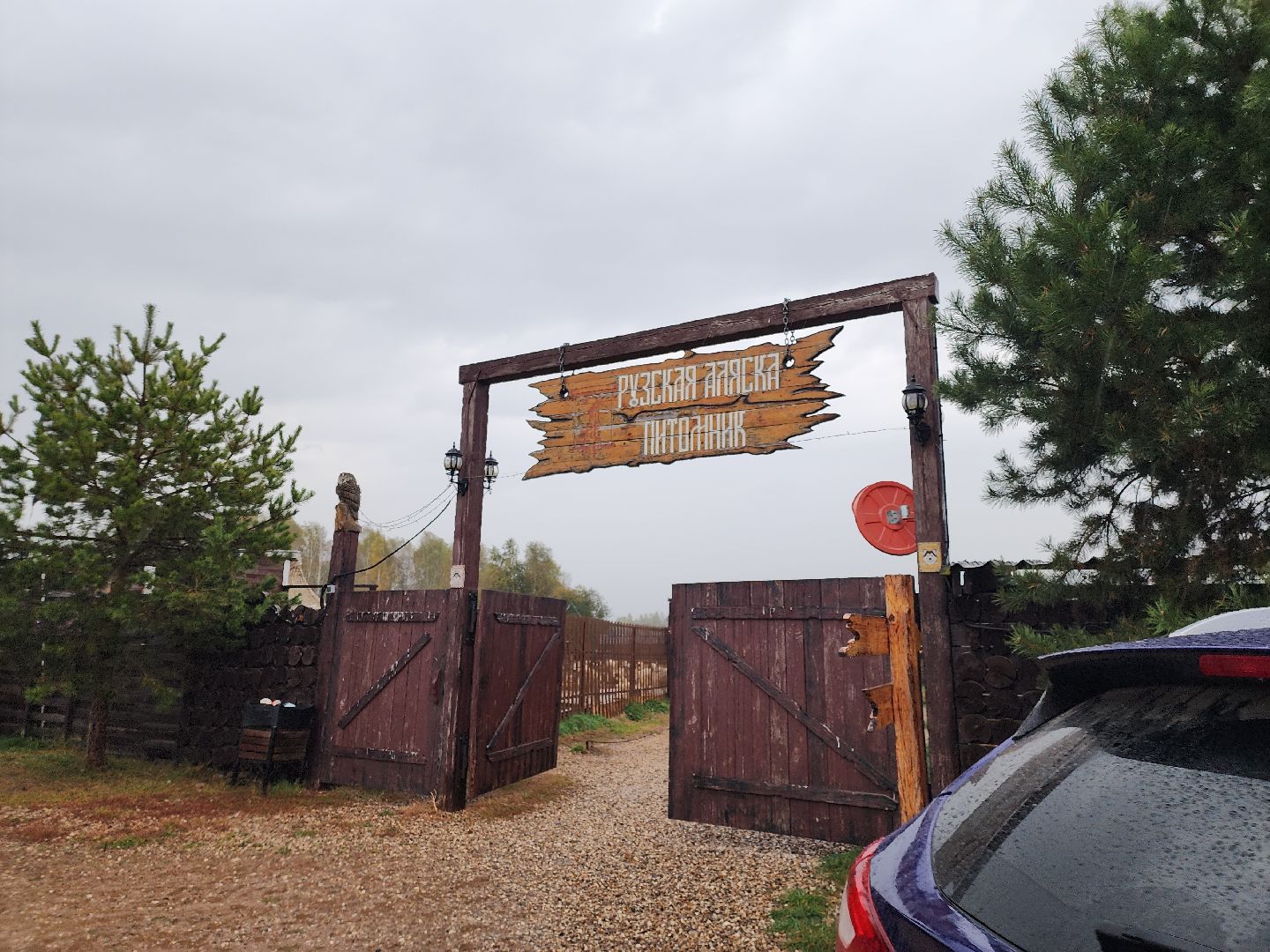 хаски, хаски-деревня, рузская аляска, руза бти, рузский городской округ, московская область, благотворительность, волонтерство,