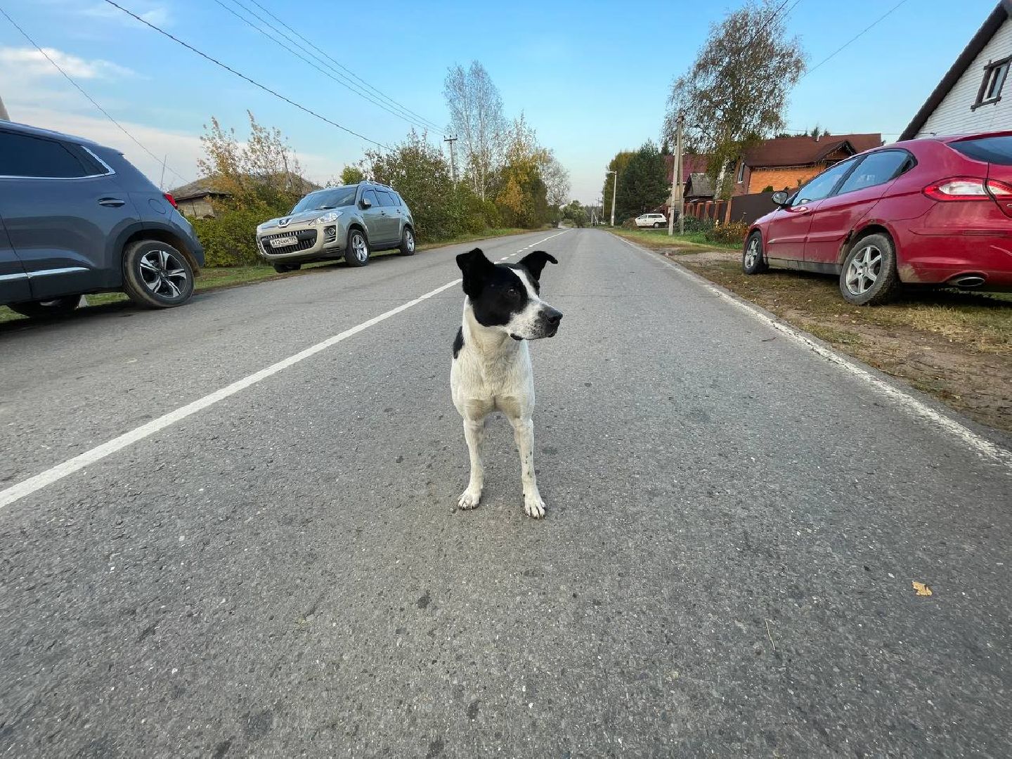 Дмитров, Непейно, Почта России, Мосавтодор,