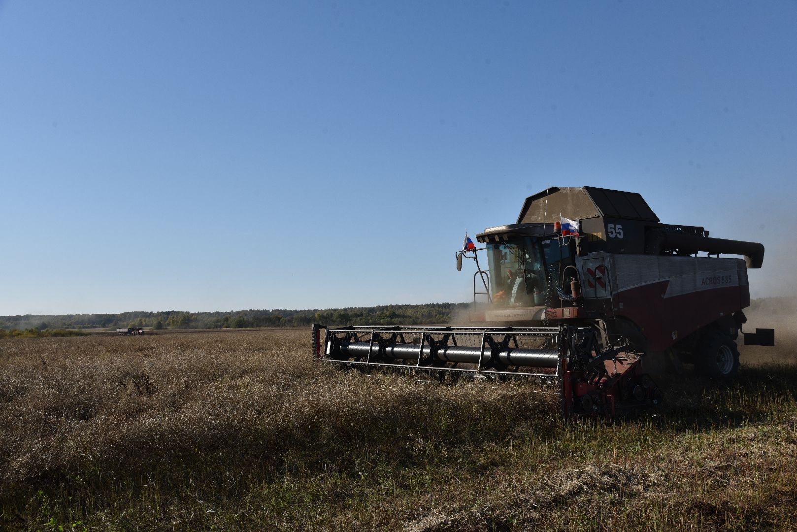 лотошино, сельское хозяйство, уборка урожая, урожай 2024, рапс,