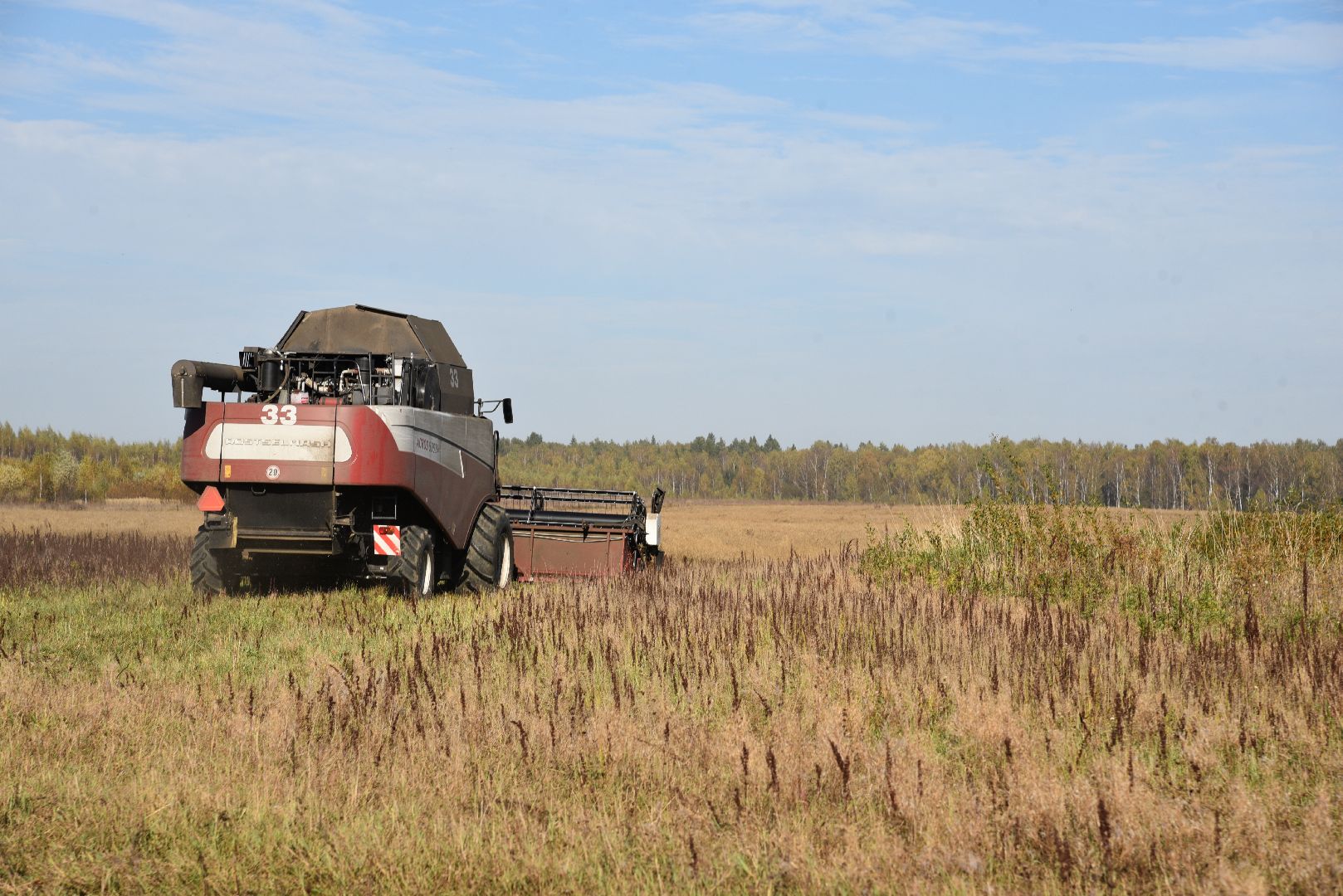 лотошино, сельское хозяйство, уборка урожая, урожай 2024, рапс,