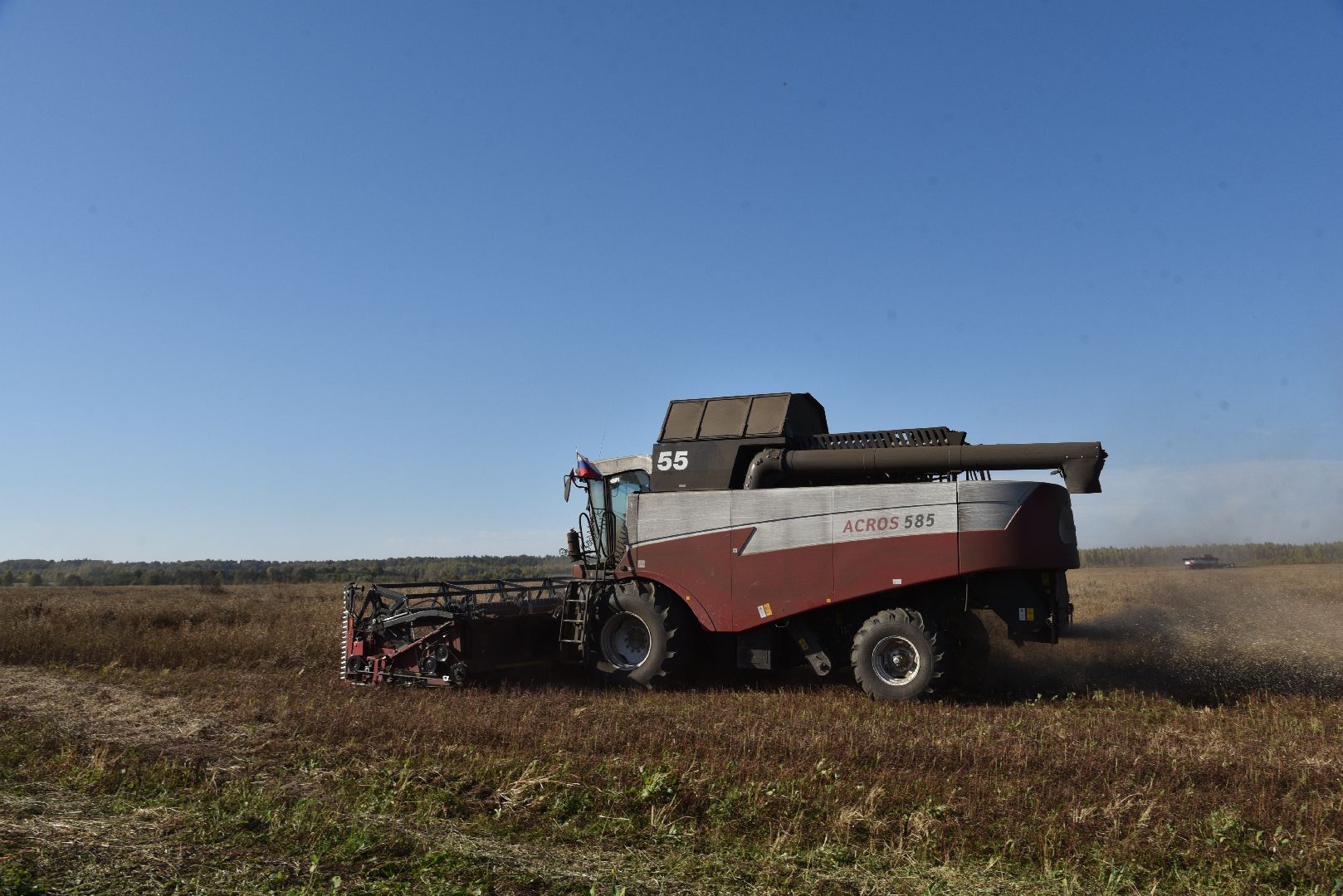 лотошино, сельское хозяйство, уборка урожая, урожай 2024, рапс,