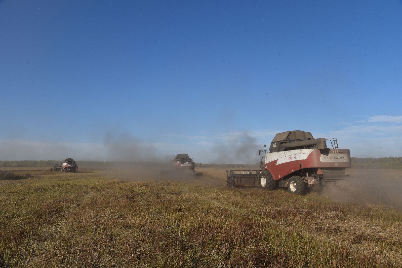 лотошино, сельское хозяйство, уборка урожая, урожай 2024, рапс,