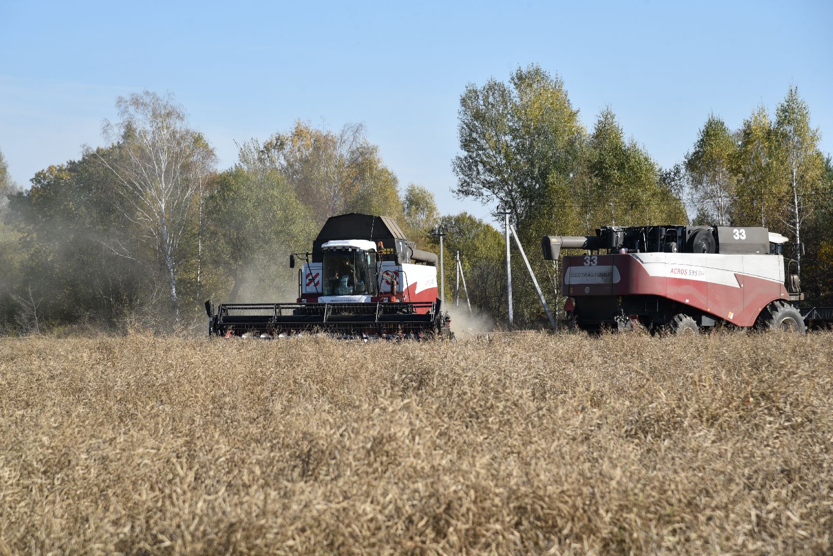 лотошино, сельское хозяйство, уборка урожая, урожай 2024, рапс,