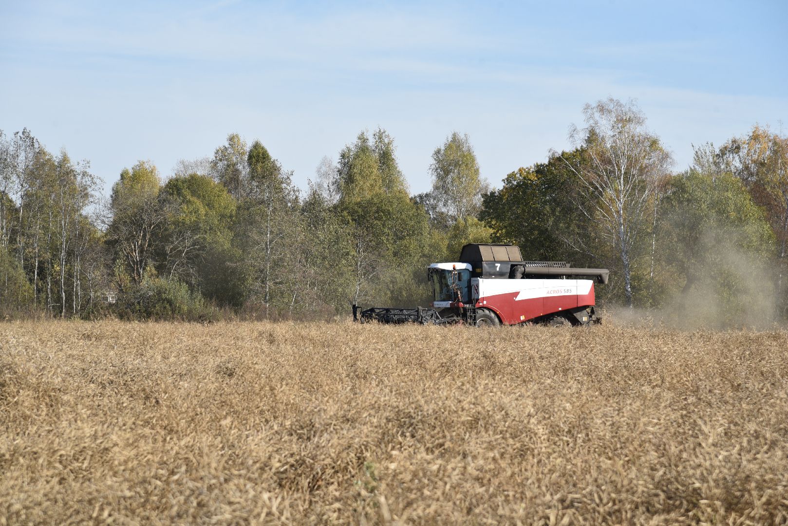 лотошино, сельское хозяйство, уборка урожая, урожай 2024, рапс,