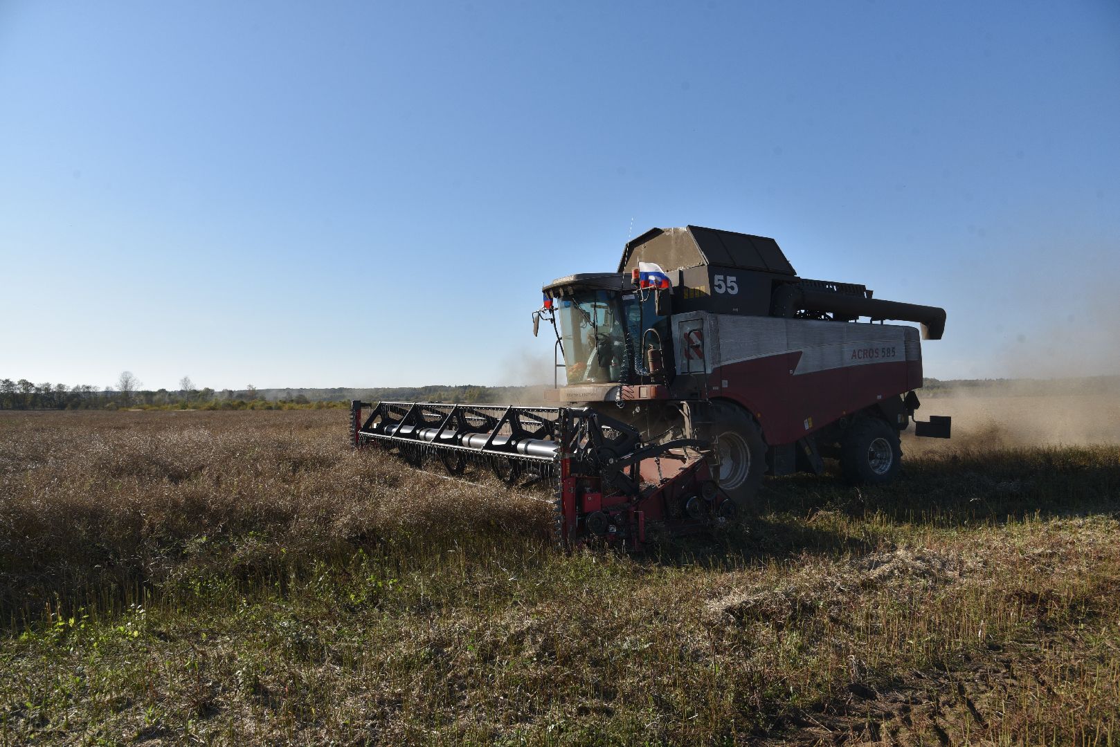 лотошино, сельское хозяйство, уборка урожая, урожай 2024, рапс,