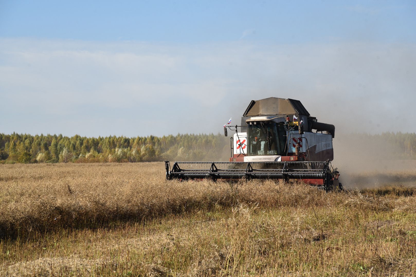 лотошино, сельское хозяйство, уборка урожая, урожай 2024, рапс,